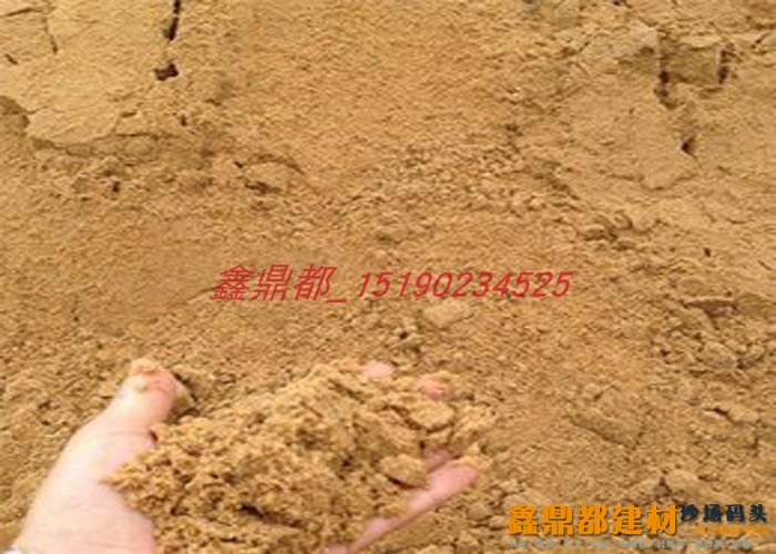 细沙细黄沙